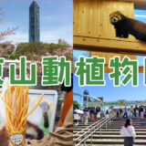 日本最大級の動物園【東山動植物園】