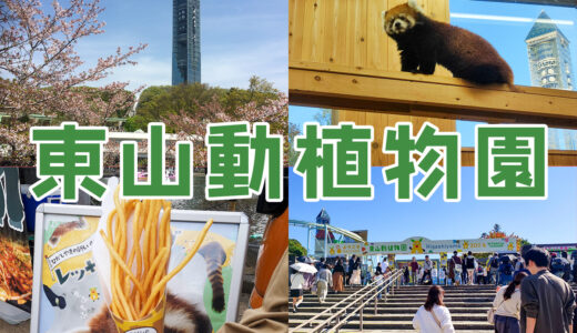 日本最大級の動物園【東山動植物園】